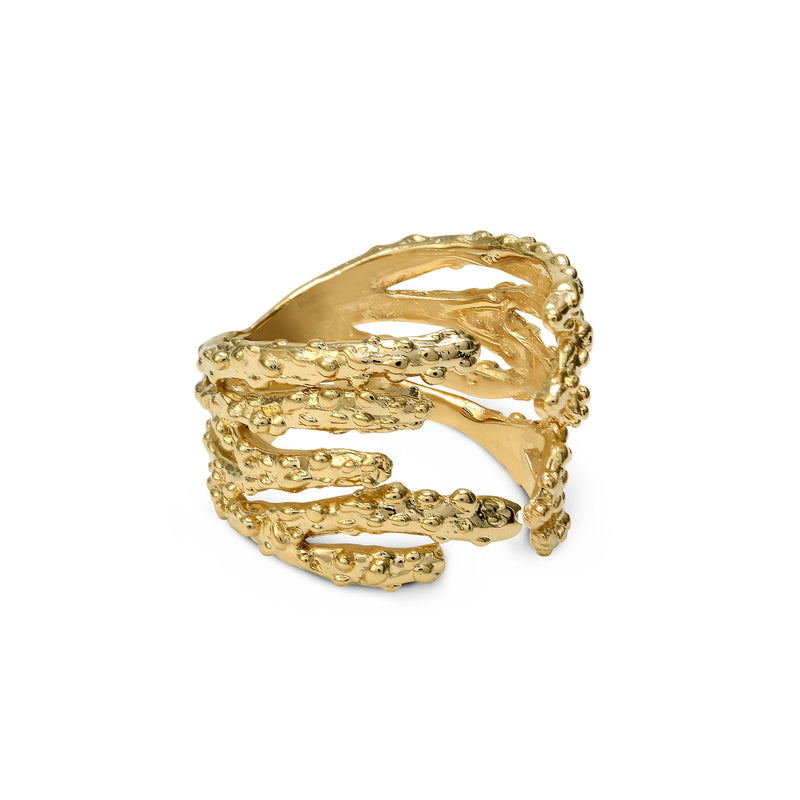 Kylar Ring, Gold